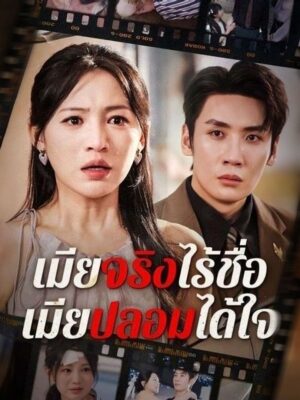 เมียจริงไร้ชื่อ เมียปลอมได้ใจ ซับไทย (จบ)