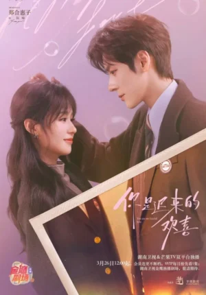You Are My Fateful Love เธอคือรักแท้ที่รอคอย ซับไทย Ep.1-30